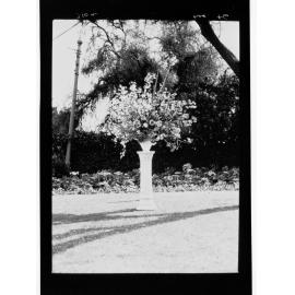 National Flower Day Festival held in Adelaide on the 21st September 1949