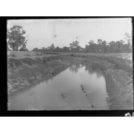 Irrigation works on the River Murray