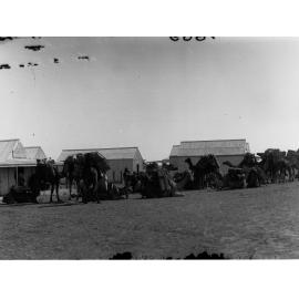 Euroonda Station showing camels being loaded