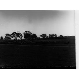 Sheep at Minda Home's Craigburn Farm, Blackwood