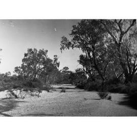 Arckaringa Creek Looking West Elder Expedition