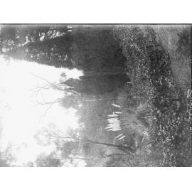 Scene of hills and bushland,  location unknown possibly Adelaide Hills, Mt Lofty Ranges