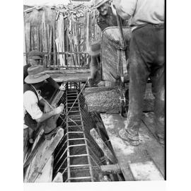 Port Adelaide Sewers Treatment Works Men Working