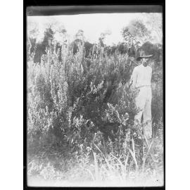 Man standing amongst crops