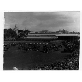Cattle parade, Adelaide show, also draught horses, Frome Road