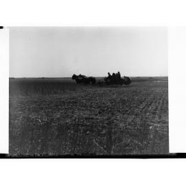Farmer Harvesting at Smithfield Near Gawler
