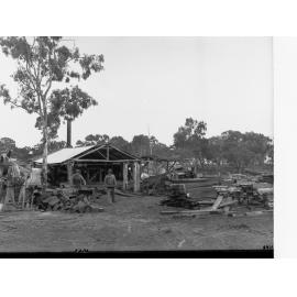 Neilsens Bush Near Penola