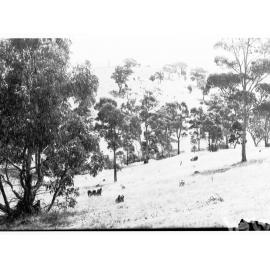 Rural view - area unknown