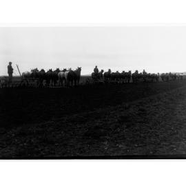 Horsedrawn machinery ploughing field