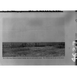 Wheat Pampa of Southern Cordoba