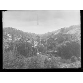 Gardens in Mt Lofty Ranges