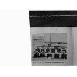 Lignite Briquets at beginning of weathering test