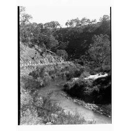 Torrens Gorge