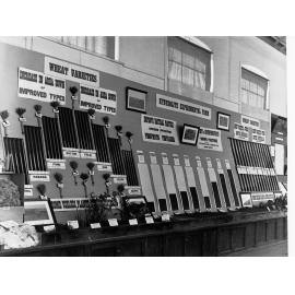 Wheat Exhibit Agricultural Hall Royal Adelaide Show