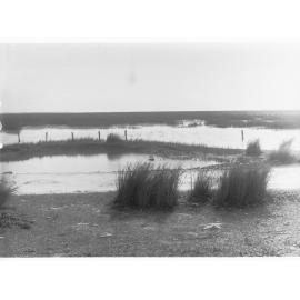 South Eastern Drainage