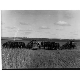 Group of Harvesters at Saddleworth