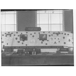 Adelaide Exhibition - Department of Agiculture - Fruit Fly