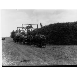 Haystack Making at Turretfield