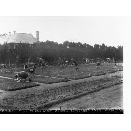 Education Department - Abattoirs Garden Plots