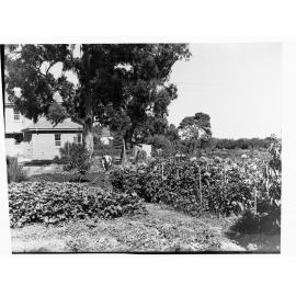 Urrbrae Agricultural College 