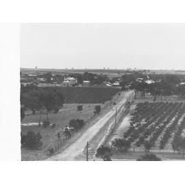 Tanunda township showing vineyards