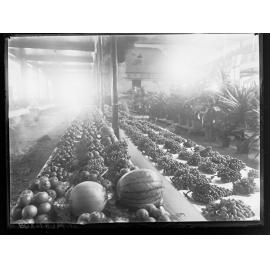 Show Exhibit of Fruit, Vegetables and Plants