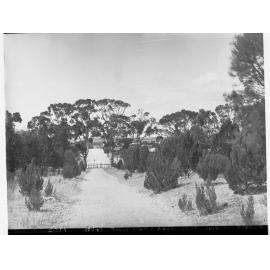 Moonta Showing Part of Town and Power House