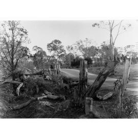 Bush scene, Sandy Creek and Lyndoch