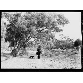 Port Pirie - Port Germein gorge, man riding horse