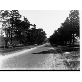 Road Near Strathalbyn