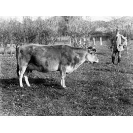 Mr Cowan's property at Littlehampton 