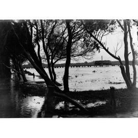 Viaduct on Henley Beach Tram Line at Lockleys