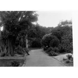 Man sitting on bench in Botanic Gardens