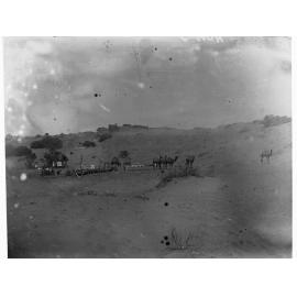 Camels, construction of East West Railway Line