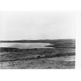 Bundaleer Reservoir - showing horses in a paddock