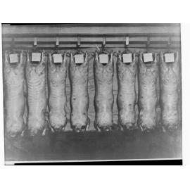 Agriculture - Sheep Carcasses