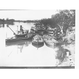 Paddlesteamers Along the Bank of the Murray River and Showing Barges