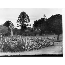 Botanic Gardens Adelaide