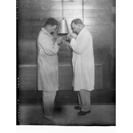 Two chicken sexers at Parafield Poultry farm