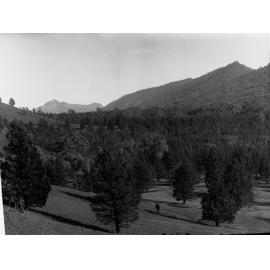 Hill showing man standing between trees