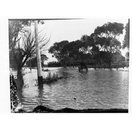 Horse and carriage on a road during floods