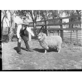 Man with a sheep taken at level crossing