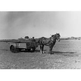 South Australian Railways Monorail Truck - truck is horse drawn