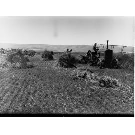 Hay Making at Aldinga
