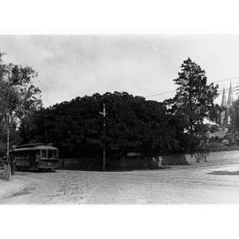 Tram on Road Near Saint Peters Cathedral