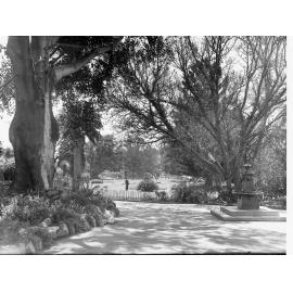 Botanic Gardens Adelaide