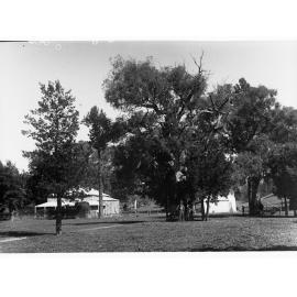 Wilpena Head Station