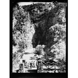 Morialta - people standing near bridge