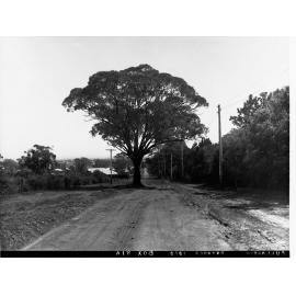 Dirt Road at Fullarton Showing Part of Town