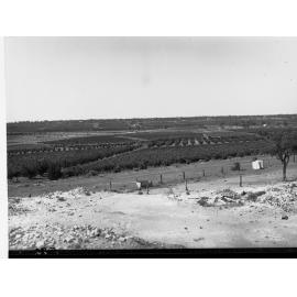 Orchards and Vineyards at Cadell